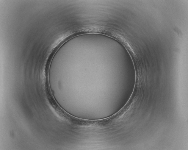 X0000115560674200911201823