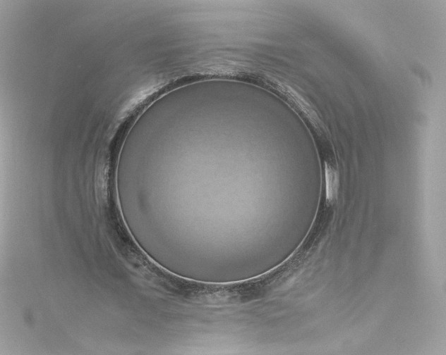 X0000115560675200911201823