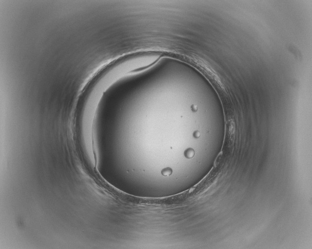 X0000115560676200911201823