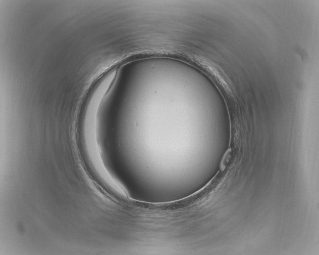 X0000115560677200911201823