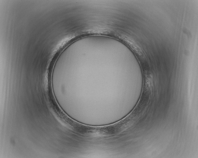 X0000115560678200911201823