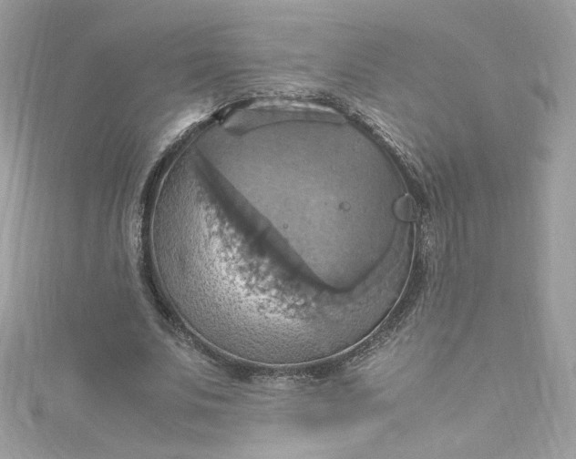 X0000115560679200911201823