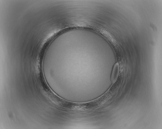 X0000115560680200911201823