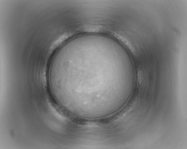 X0000115560682200911201823