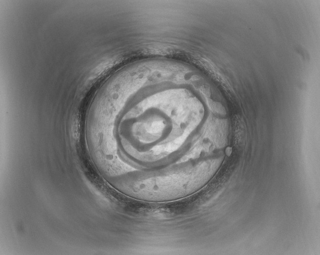 X0000115560683200911201823