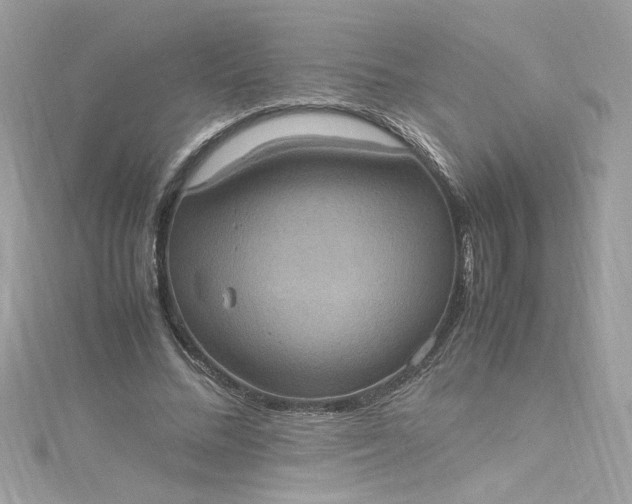 X0000115560684200911201823