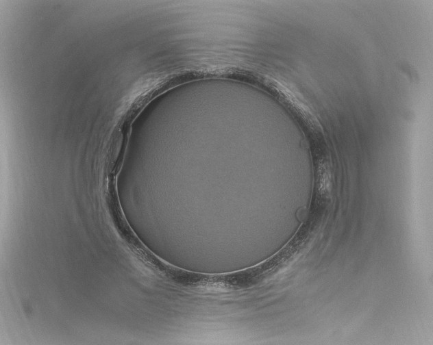 X0000115560685200911201823