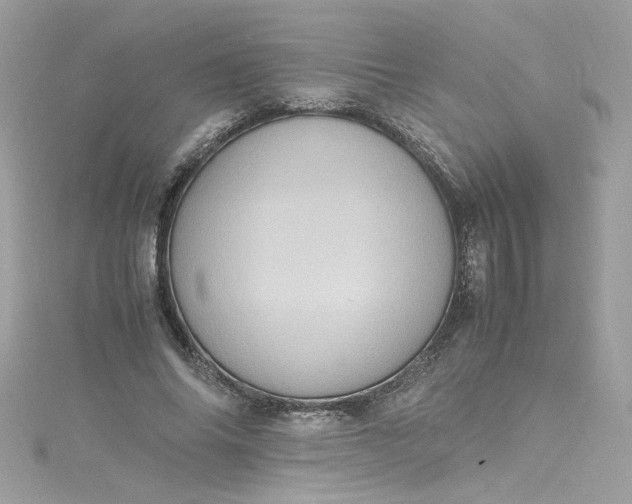 X0000115560686200911201823