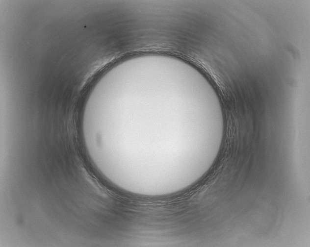 X0000115560688200911201823