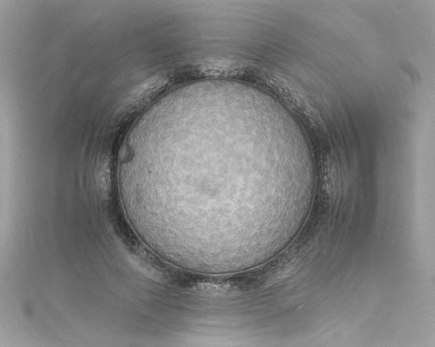 X0000115560690200911201823