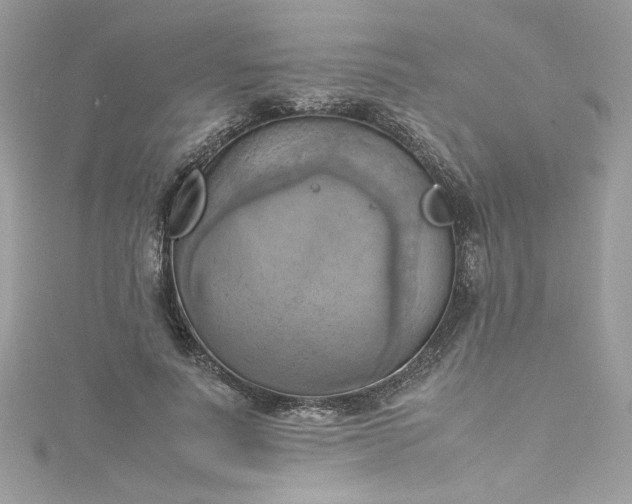 X0000115560691200911201823