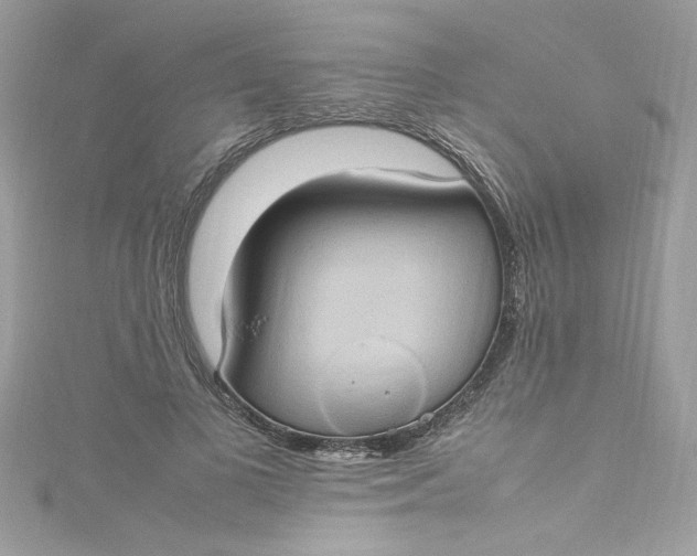 X0000115560693200911201823