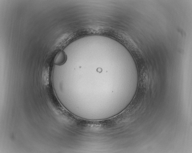 X0000115560694200911201823