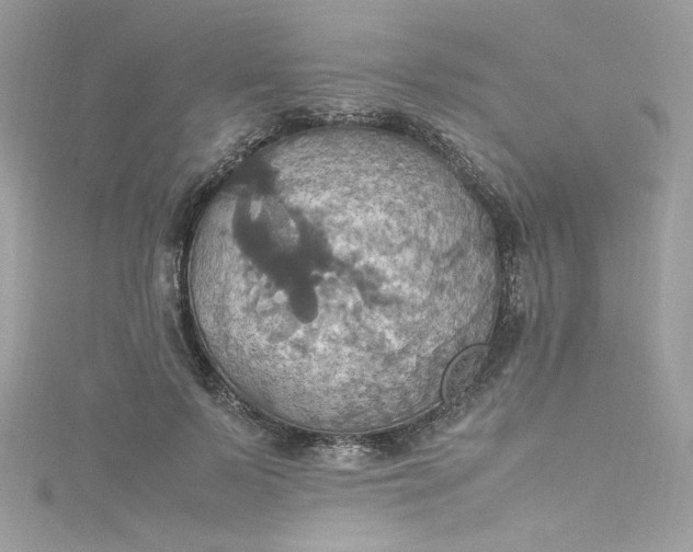 X0000115560695200911201823