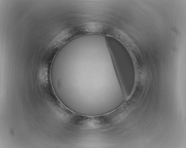 X0000115560696200911201823