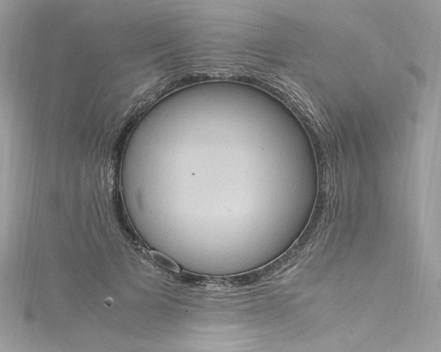 X0000115560697200911201823