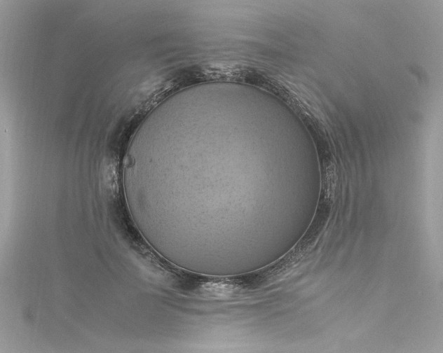 X0000115560699200911201823