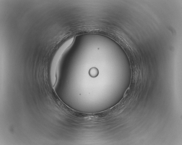 X0000115560700200911201823