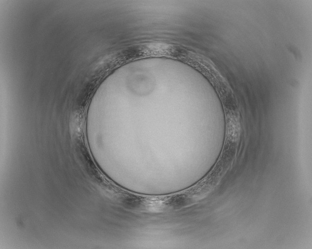 X0000115560701200911201823