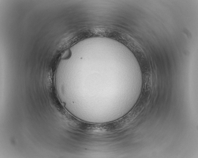 X0000115560702200911201823