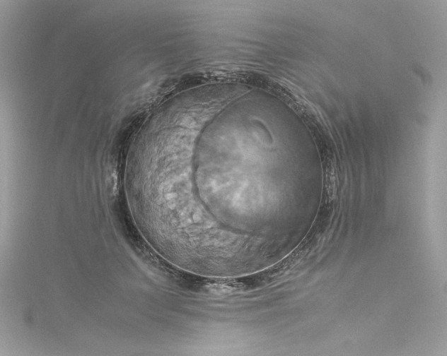 X0000115560703200911201823