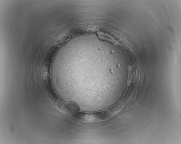 X0000115560704200911201822