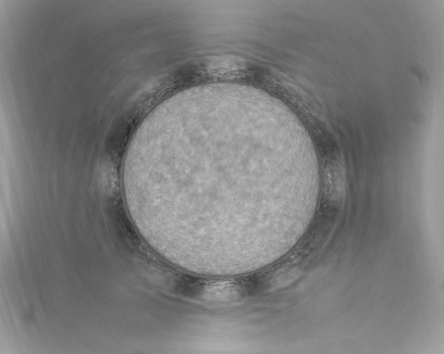 X0000115560705200911201822