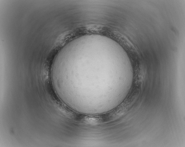 X0000115560706200911201822