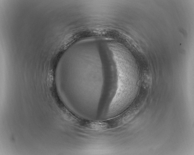 X0000115560707200911201822