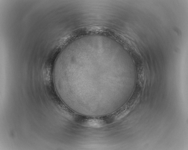 X0000115560708200911201822