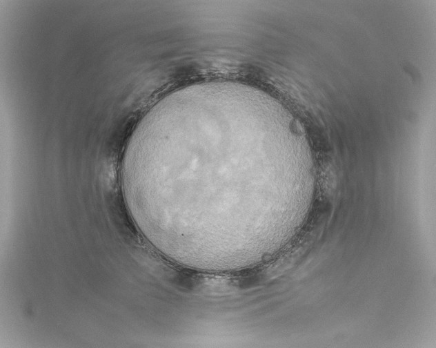 X0000115560709200911201822