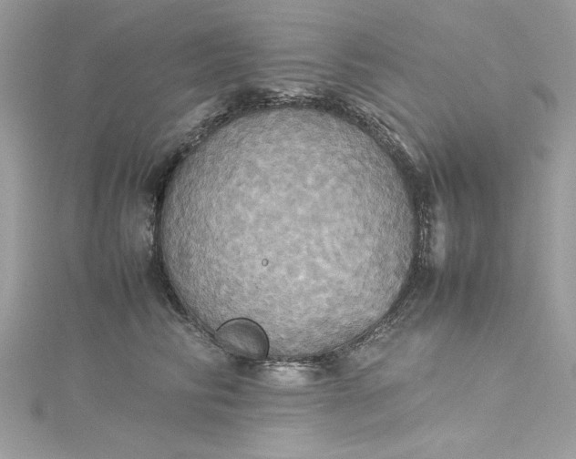 X0000115560710200911201822