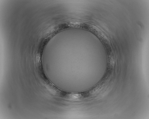 X0000115560711200911201822