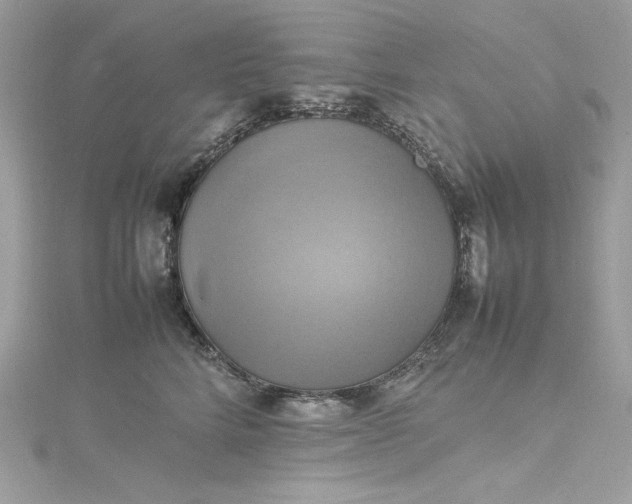 X0000115560712200911201822