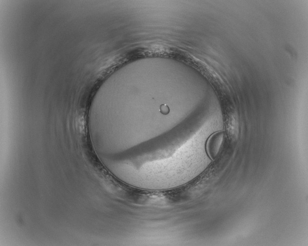 X0000115560715200911201822