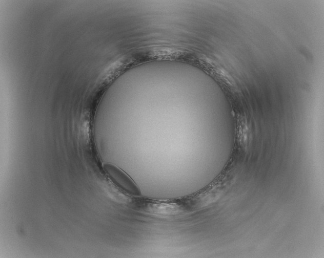 X0000115560716200911201822