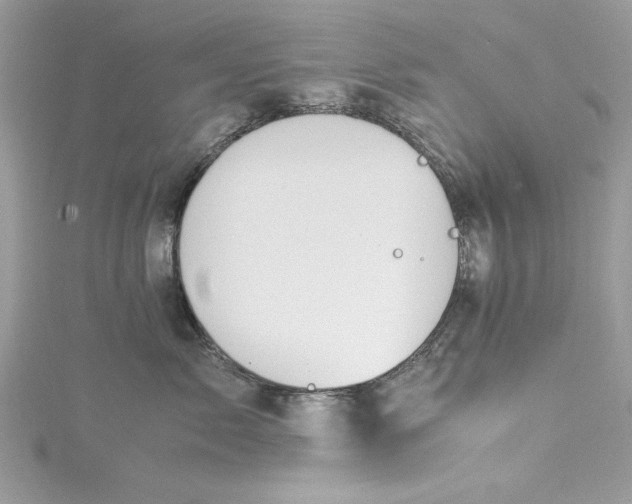 X0000115560717200911201822