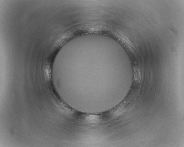 X0000115560718200911201822