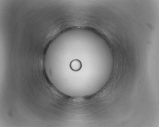 X0000115560720200911201822