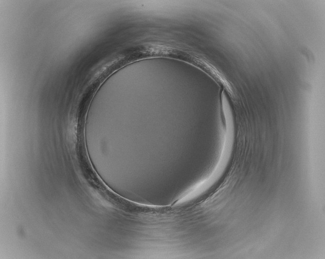 X0000115560722200911201822