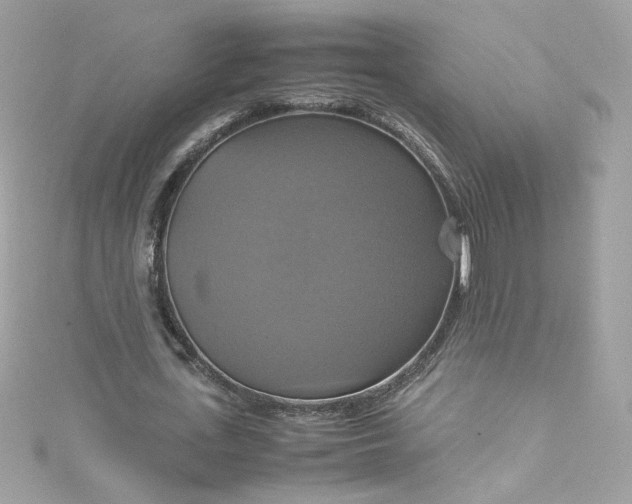 X0000115560723200911201822