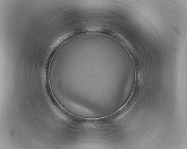 X0000115560725200911201822