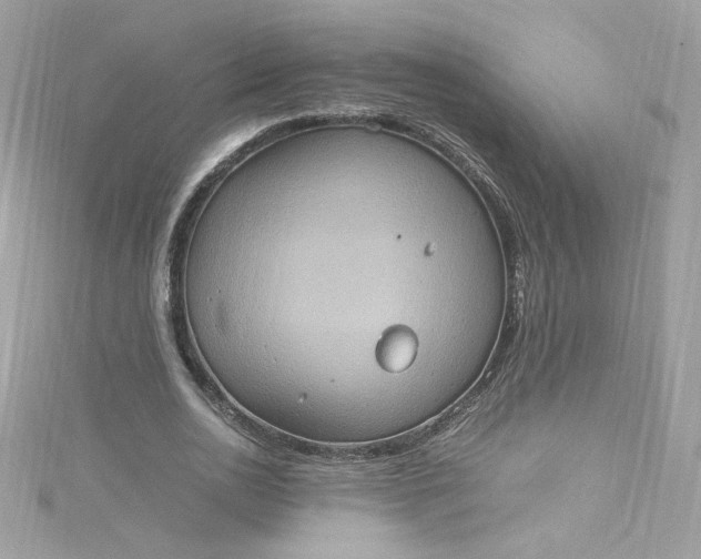 X0000115560726200911201822