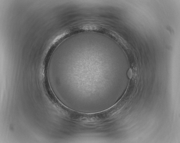 X0000115560727200911201822