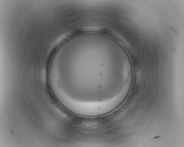 X0000115560729200911201822