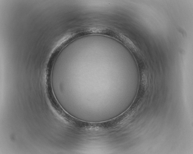 X0000115560730200911201822