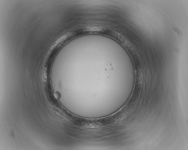 X0000115560731200911201822