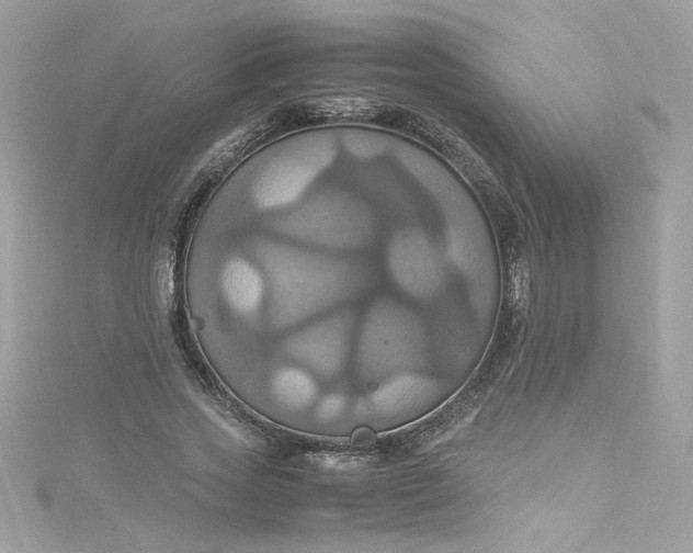 X0000115560733200911201822