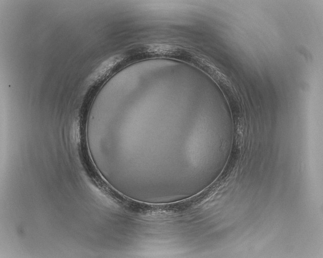 X0000115560734200911201822