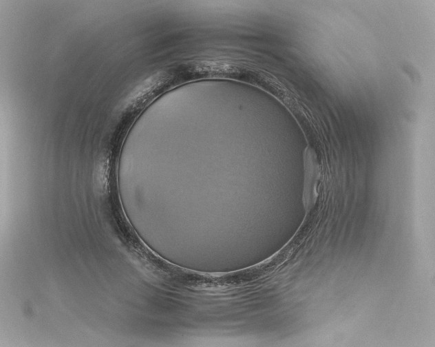 X0000115560735200911201822